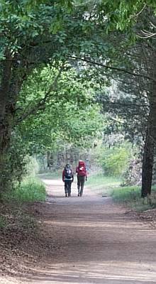 walking the camino - way of st james.jpg